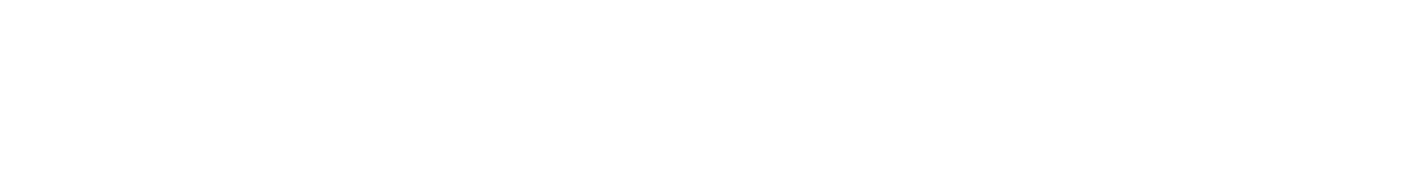 Brightspeed Fiber